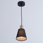 Люстра «Айрис», 1×60 Вт Е27, чёрный, 15×15×20(100) см - Фото 2