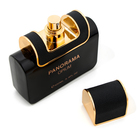 Парфюмерная вода женская Panorama Opium (по мотивам Yves Saint Laurent Black Opium), 100 мл - Фото 3