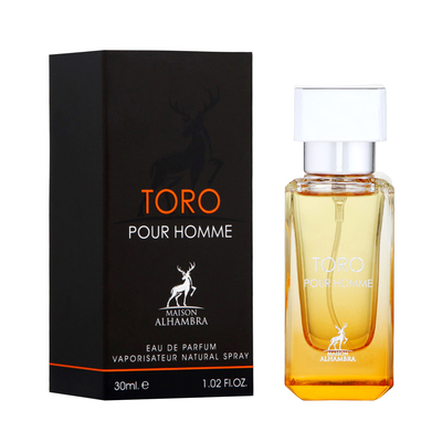 Парфюмерная вода мужская Toro Pour Homme (по мотивам Hermes Terre D'Hermes), 30 мл