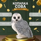 Копилка  "Сова большая серая" 27х20х24 см - фото 321817382