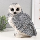 Копилка  "Сова большая серая" 27х20х24 см - фото 24732774