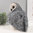 Копилка  "Сова большая серая" 27х20х24 см - фото 24732775