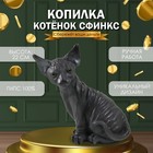 Копилка "Котенок Сфинкс" 22 х 10 х 21 см. - Фото 1