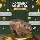 Копилка "Медведь Бронзовый" 18,5 х 14 х 36 см - фото 321817484