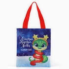 Мешок для конфет «Змея: Счастья, здоровья, любви», детский шопер, 22×20 см - Фото 2