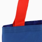 Мешок для конфет «Змея: Счастья, здоровья, любви», детский шопер, 22×20 см - Фото 5