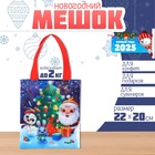 Мешок для конфет «Дед Мороз», детский шопер, 22×20 см - Фото 1