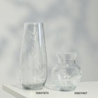 Ваза для цветов «Ботаника» стеклянная, прозрачная, 26 см, 1.7 л. - Фото 2