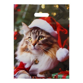 Пакет подарочный новогодний «Новогодний Мур», полиэтиленовый с вырубной ручкой, гл 40?31 см (комплект 50 шт)