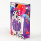 УЦЕНКА Набор для опытов «Чудесные кристаллы», единорожка - Фото 3