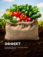 Органическое удобрение «Биогумус» Рецепты дедушки Никиты, 0.25 л - Фото 8