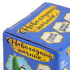 УЦЕНКА Набор для творчества Новогодний ночник с игрушкой, пингвин - Фото 3