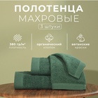 Набор махровых полотенец LoveLife "Natural eucalyptus" 3 шт: 70х130,50х80,30х50см хл100% - Фото 2