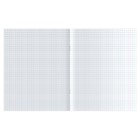 Тетрадь 80 листов в клетку "Magnificent animals", обложка мелованный картон, матовая ламинация, тиснение фольгой, блок 70 г/м2, МИКС (комплект 2 шт) - фото 24733813