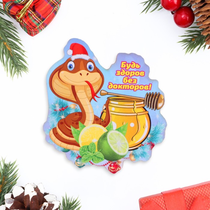 Магнит на холодильник «Змея новогодняя. Будь здоров без докторов!» - Фото 1