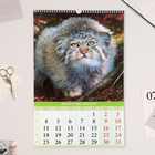 Календарь перекидной на ригеле "Сказки волшебного леса" 2025, А3 - Фото 2