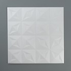 Плита потолочная экструдированная 3002, белая 500х500 мм - фото 25288618