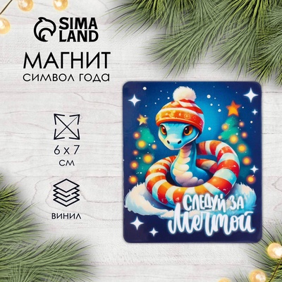 Магнит на холодильник «Змейка. Следуй за мечтой», винил, 6×7 см