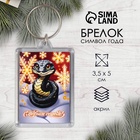 Черненькая змея
