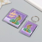 Новогодний набор "Кобра" (брелок 3,5х5 см, Новогодний магнит 5,7х5,7 см) (комплект 2 шт) - фото 26176140