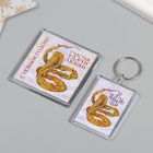 Новогодний набор "Змея. Линии" (брелок 3,5х5 см, Новогодний магнит 5,7х5,7 см) (комплект 2 шт) - фото 26176142