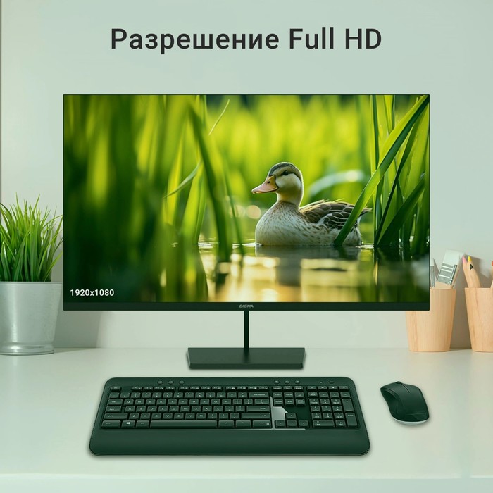 Монитор Digma 31.5" Progress 32P501F черный IPS LED 4ms 16:9 HDMI матовая 300cd 178гр/178гр   106855 - фото 51614645