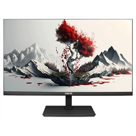 Монитор RDW Computers 23.8" RDW2401K/Q00B0 черный IPS 6ms 16:9 HDMI M/M матовая 250cd 178гр   106855