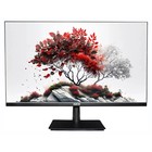 Монитор RDW Computers 27" RDW2701K_Q00B0 черный IPS 5ms 16:9 HDMI матовая 1000:1 250cd 178г   106855 - фото 51640247