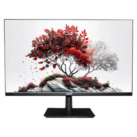 Монитор RDW Computers 27" RDW2701K_Q00B0 черный IPS 5ms 16:9 HDMI матовая 1000:1 250cd 178г   106855