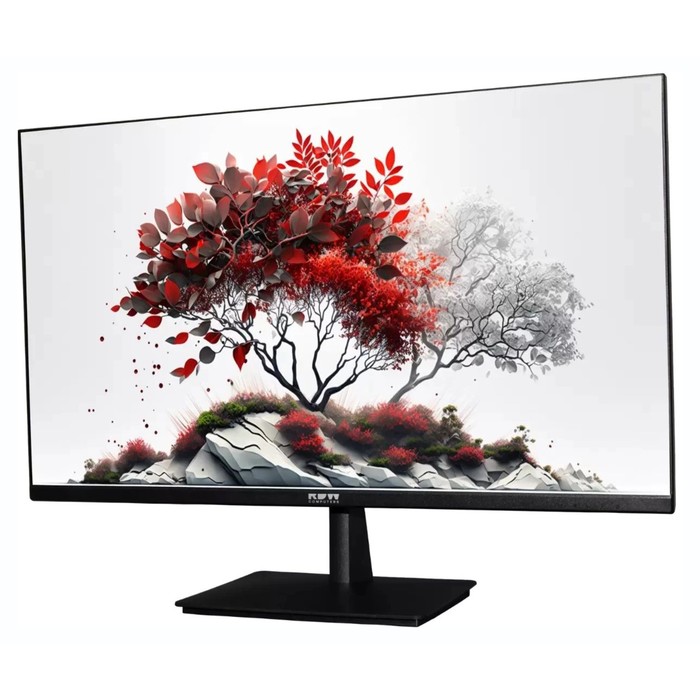 Монитор RDW Computers 27" RDW2701K_Q00B0 черный IPS 5ms 16:9 HDMI матовая 1000:1 250cd 178г   106855 - фото 51640248