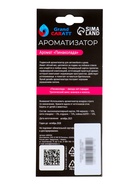 Ароматизатор подвесной Grand Caratt Auto, пина колада - Фото 4