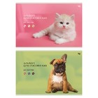 Альбом для рисования А4, 20 листов «Собачка и котик», картонная обложка, блок 100 г/м2, МИКС - фото 321819771