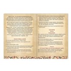 Трансформационная игра «Мудрость Лилы», игровое поле, инструкция, кубик, 16+ - Фото 4
