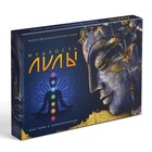 Трансформационная игра «Мудрость Лилы», игровое поле, инструкция, кубик, 16+ - Фото 6