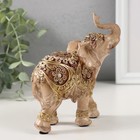 Сувенир полистоун "Слон, цветы и узоры на попоне" золото и беж 12,5х5х13 см - фото 24990488