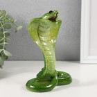 Сувенир полистоун лак "Шипящая кобра" 11,8х6,5х15 см - Фото 1