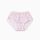 Трусы для девочки слипы, цвет микс, рост 110 см - фото 24746492