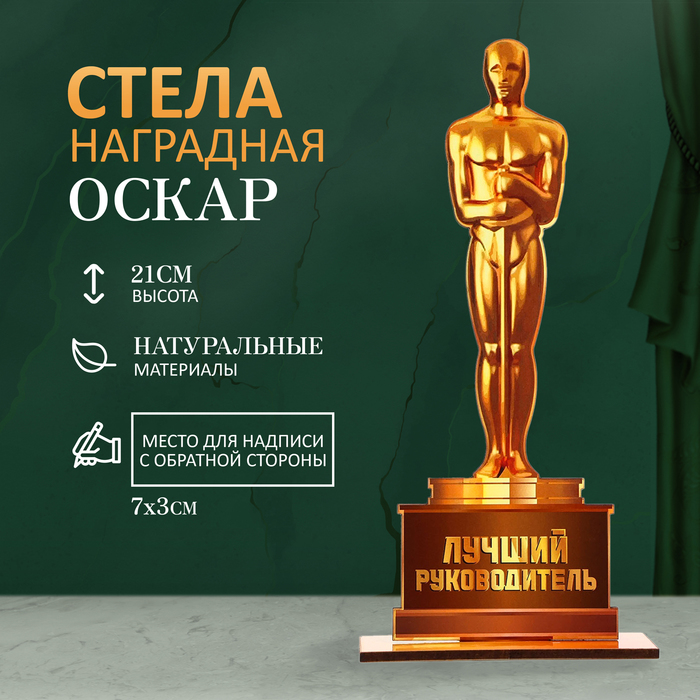 Стела - оскар «Лучший руководитель», 21×8 см - Фото 1