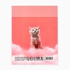 Дневник школьный для 1-11 класса, в интегральной обложке, 40 л. «Котик на облаке» - Фото 5