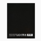 Дневник школьный для 1-11 класса, в интегральной обложке, 40 л. «Дневник обыкновенный» - Фото 5