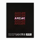 Дневник школьный для 1-11 класса, в интегральной обложке, 40 л. «Аниме. Котик» - Фото 5