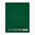 Дневник школьный для 1-11 класса, в интегральной обложке, 40 л. «Школьные принадлежности» - Фото 5