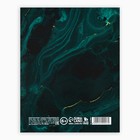 Дневник школьный для 1-11 класса, в интегральной обложке, 40 л. Gold shine - Фото 5