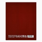 Дневник школьный для 1-11 класса, в интегральной обложке, 40 л. «Аниме. Парень» - Фото 5