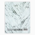 Дневник школьный для 1-11 класса, в интегральной обложке, 40 л. «Мрамор серый» - Фото 5