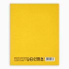 Дневник школьный для 1-11 класса, в интегральной обложке, 40 л. «Корги в очках» - Фото 5