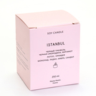 Свеча в банке ароматическая "Istanbul", трюфель, смородина, бергамот, 250 мл - Фото 9