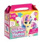 УЦЕНКА Игрушка-сюрприз Happy Valley «Чудо-пони», МИКС - Фото 6