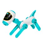 Уценка Проектор-лампа для рисования «Космическая собачка», 4 слайда, 32 картинки, 8 фломастеров, МИКС 10700082