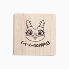 Набор кухонный Сюрприз: подставка 15×15 см, прихватка 17×17 см - Фото 5